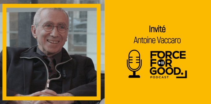 <?php echo pulse_output(); ?>